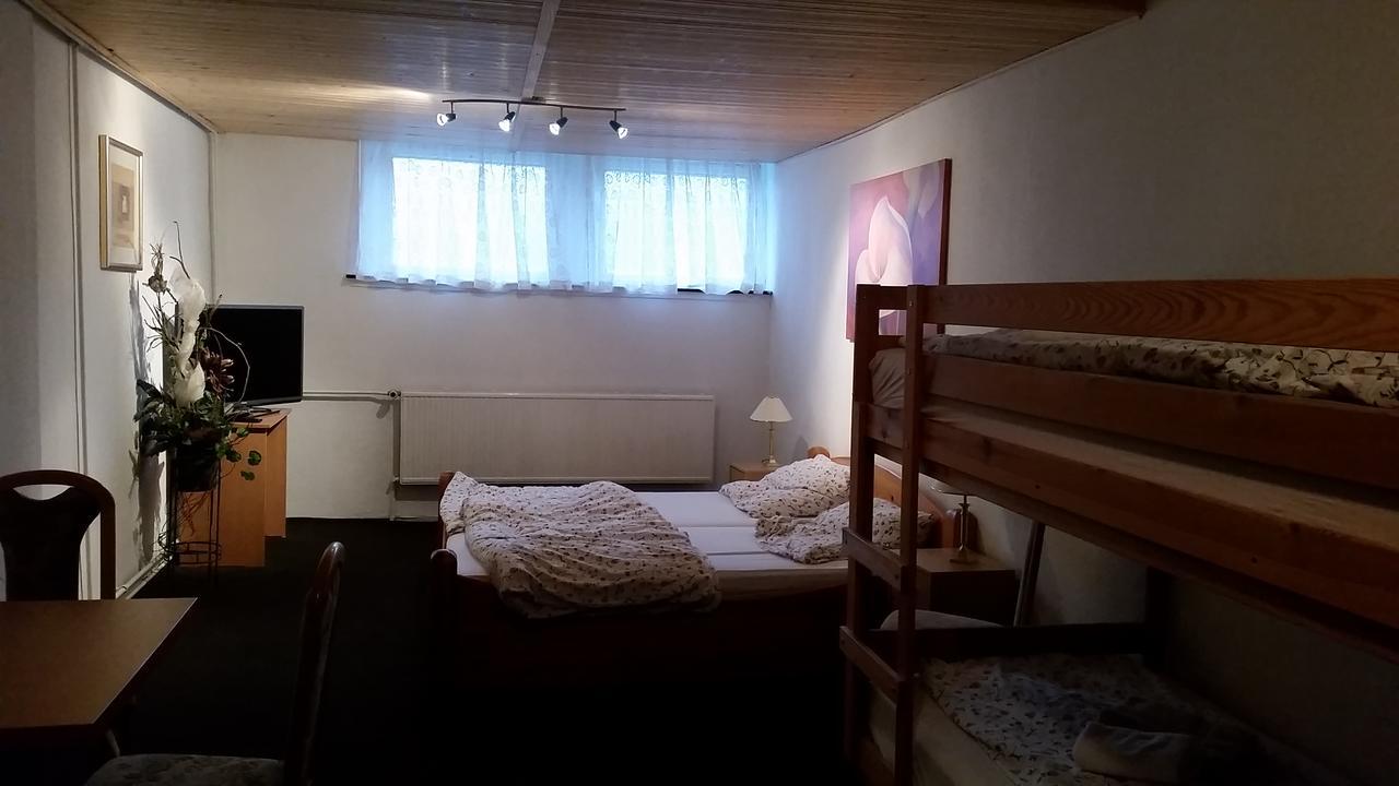 Pension Und Restaurant Die Burg Ehrenfriedersdorf المظهر الخارجي الصورة