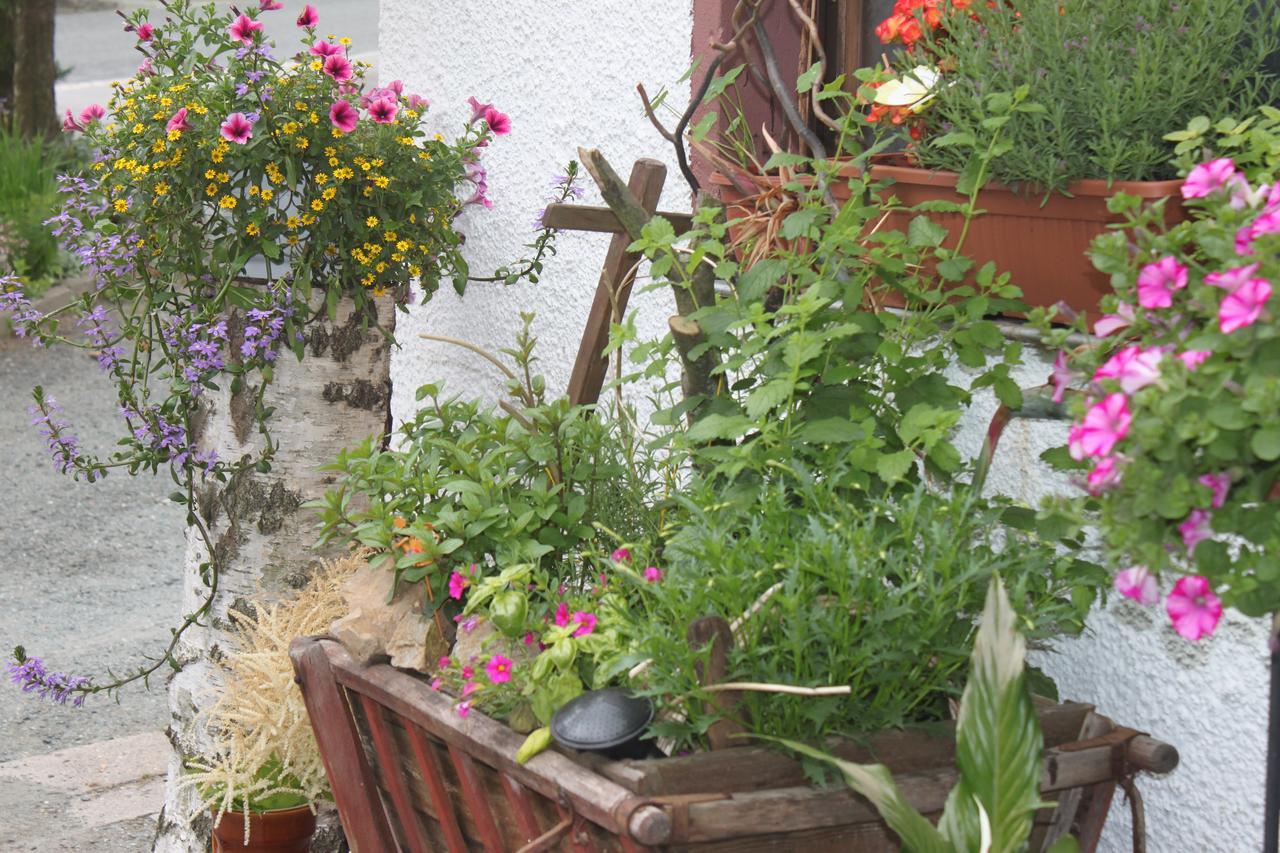 Pension Und Restaurant Die Burg Ehrenfriedersdorf المظهر الخارجي الصورة
